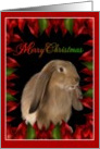 Merry Christmas - Rabbit card