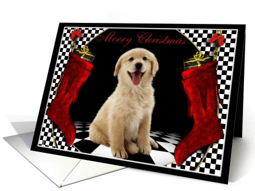 Merry Christmas - Golden Retriever Puppy dog card (291909)