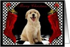 Merry Christmas - Golden Retriever Puppy dog card