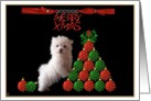 Merry Xmas-Talented Dog card