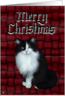Merry Christmas-Cat card