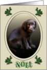 Merry Christmas-Labrador Puppy card