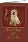 Merry Christmas-Golden Retriever Puppy card