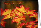 Autumn Card - Fall Leaves card