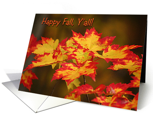 Autumn Card - fall leaves card (291553)
