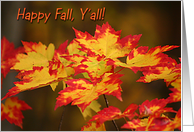 Autumn Card - fall leaves card