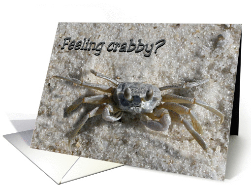 Get Well - Feeling crabby? card (291579)
