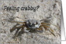 Get Well - Feeling crabby? card