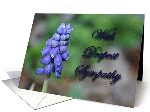 Sympathy card - floral image card (291631)