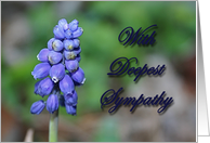 Sympathy card - floral image card