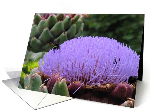 Thistle card (294067)