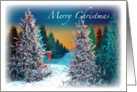 Colorful Christmas, Winter Forest Sunset card