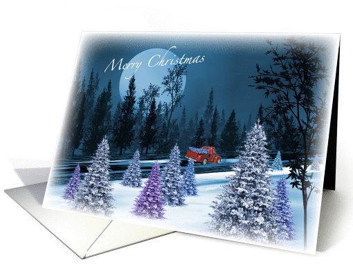 Blue Moon Winter Scene, Fresh Cut Tree in the Back of a... (1460748)