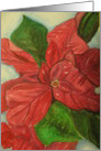 POINSETTIA card