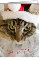 Santa Cat In Hat Naughty or Nice Christmas card