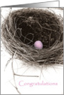 Bird’s Nest Congratulations Girl card
