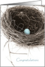 Bird’s Nest Congratulations Grandson card