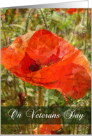 Veterans Day Red Poppy card