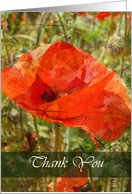 Veterans Day Red Poppy card
