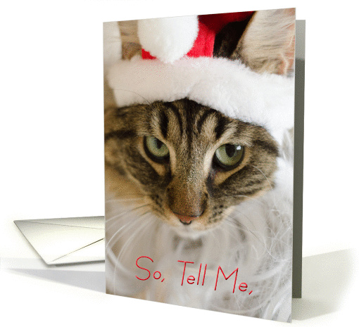 Santa Cat In Hat Naughty or Nice Christmas card (1014223)