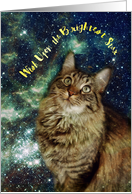 Cat Galaxy Stars...