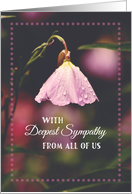 Sympathy From All Of Us Pink Flowers Business or Personal card