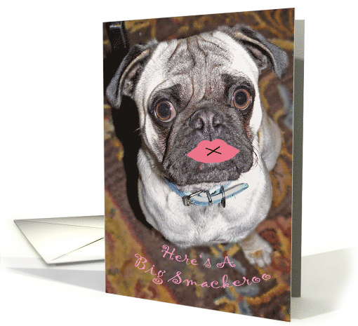 Pug Happy Valentine's Day card (341919)
