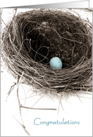 Bird’s Nest Congratulations Boy card