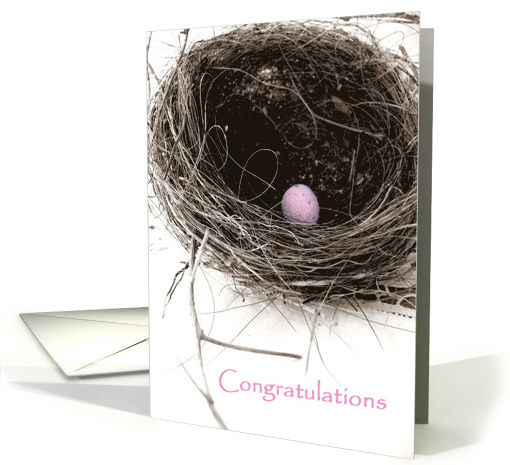 Bird's Nest Congratulations Girl card (353002)