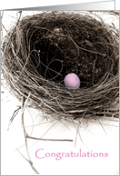 Bird’s Nest Congratulations Girl card