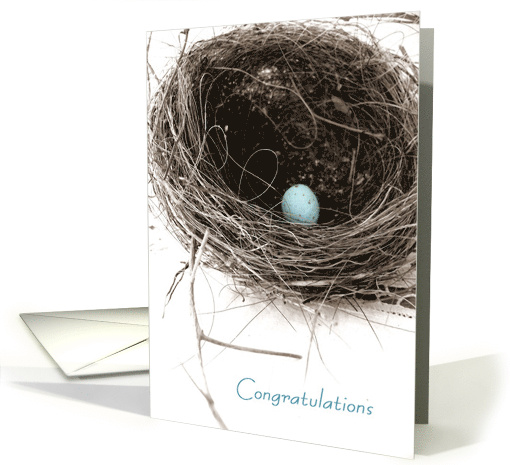 Bird's Nest Congratulations Grandson card (353014)