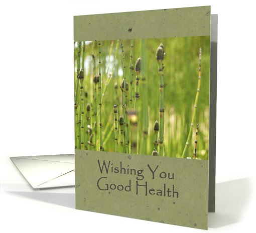 Wishing You Good Health card (385106)