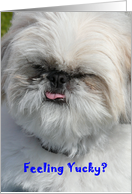 Feeling Yucky? Get Well Soon card