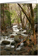 Creek At Bridal Veil Falls card
