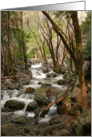 Creek At Bridal Veil Falls card