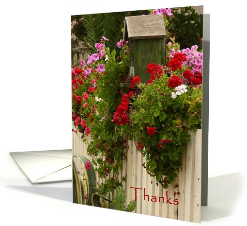 Picket Fence Thank You card (435086)