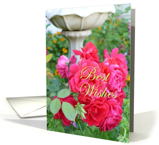 Best Wishes Engagement card (435482)