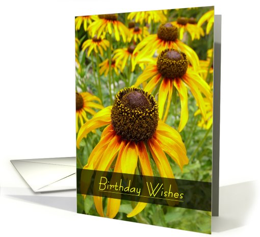 Garden Best Wishes card (436131)