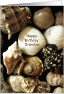 Shell Grandpa Birthday card