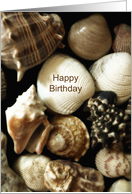 Shell Happy Birthday