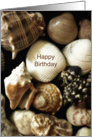 Shell Happy Birthday card