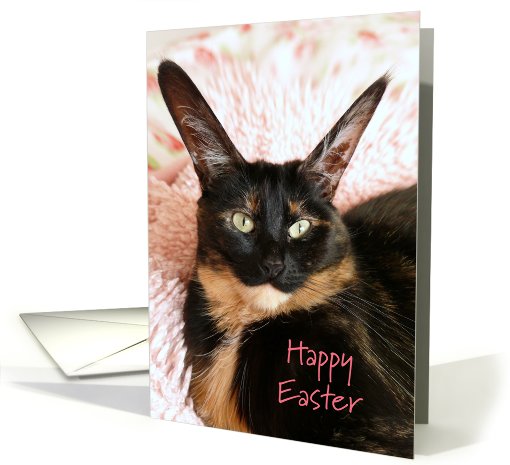 Big Eared Cat Happy Easter card (492729)