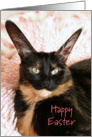 Big Eared Cat Happy Easter card