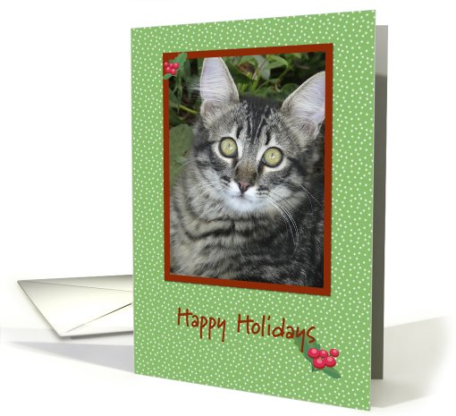 Grey Tabby Happy Holidays card (517373)