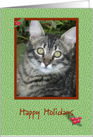 Grey Tabby Happy Holidays card