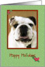 Bulldog Happy Holidays card