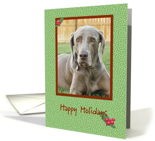 Weimaraner Happy Holidays card (517863)