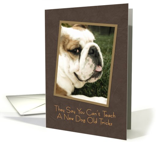 Bulldog Birthday card (518516)