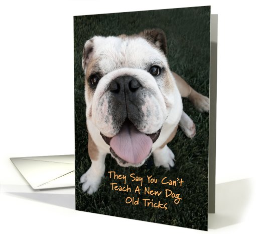 Bulldog Birthday card (518688)