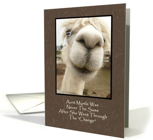 Llama Birthday card (534823)